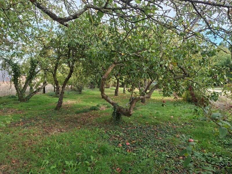 Maison à AMBRIERES-LES-VALLEES