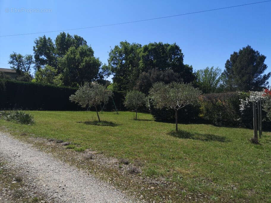 Maison 227 m² à Eyragues  - photo 3