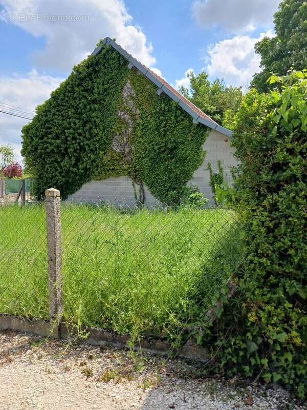 Terrain à ARCIS-SUR-AUBE