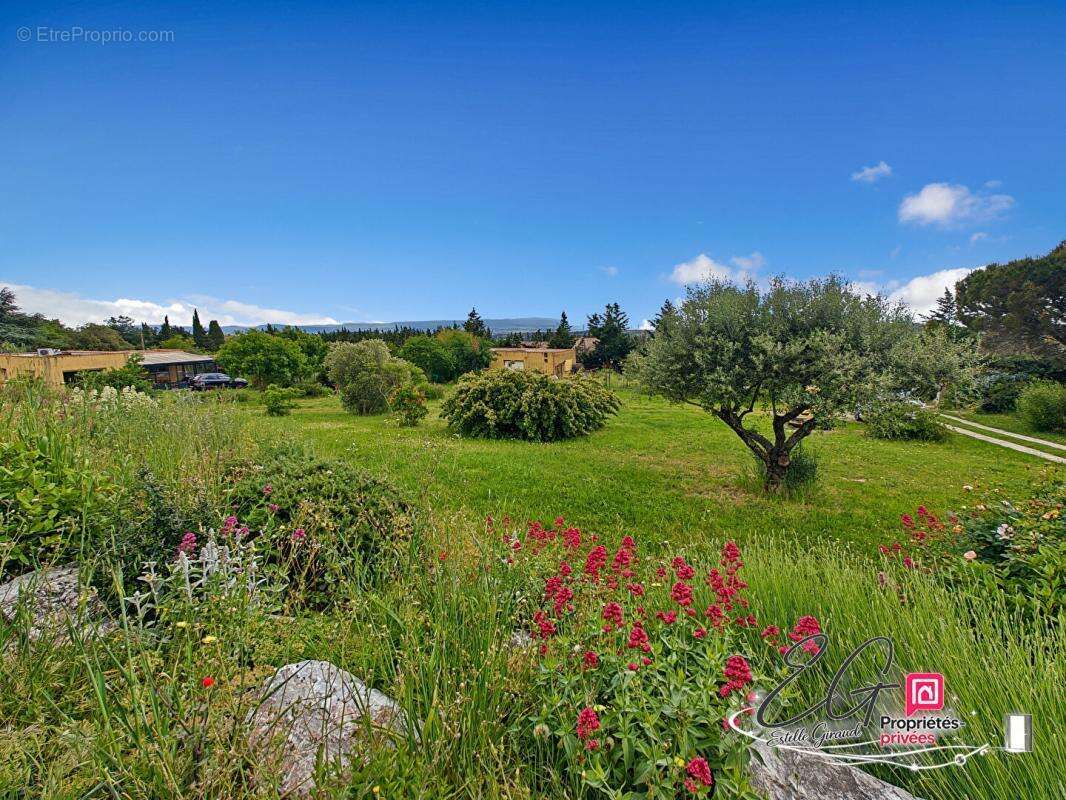 VILLARDONNEL : Villa avec vue panoramique sur les Pyrénées - photo 3