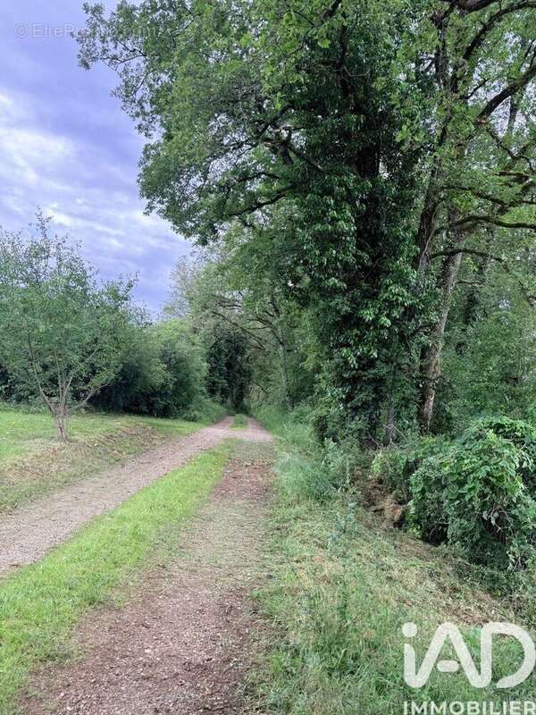 Photo 6 - Terrain à PARISOT