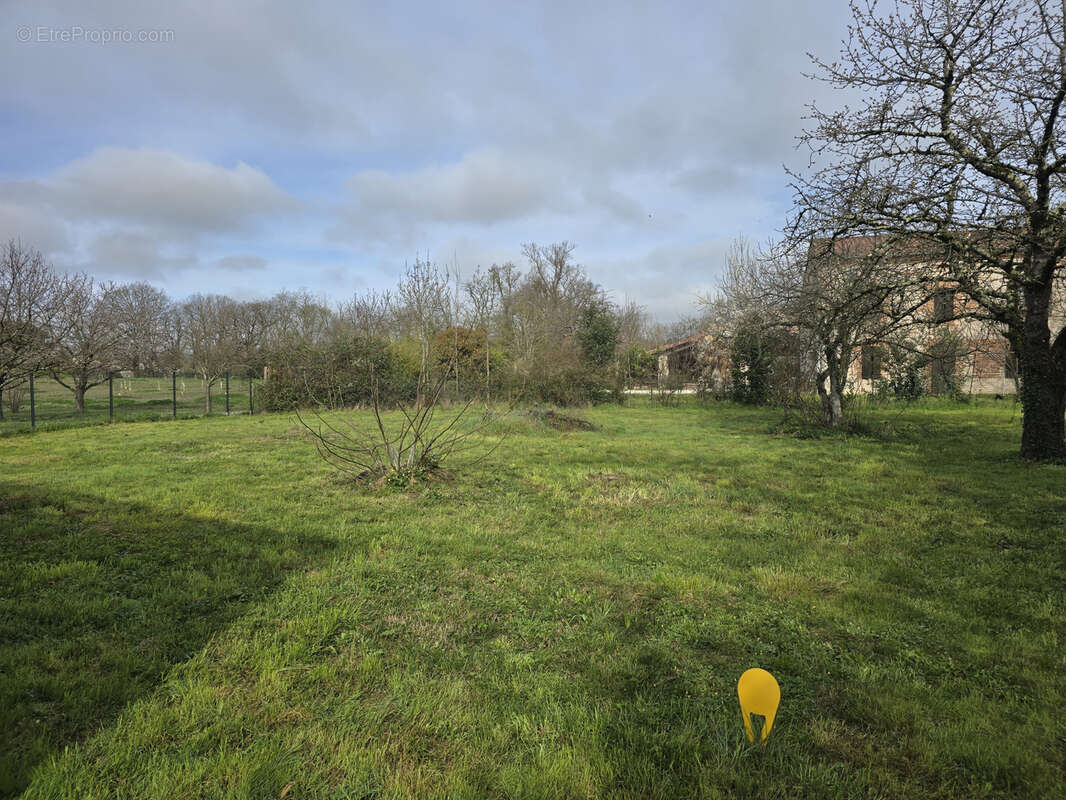Terrain à MARSSAC-SUR-TARN