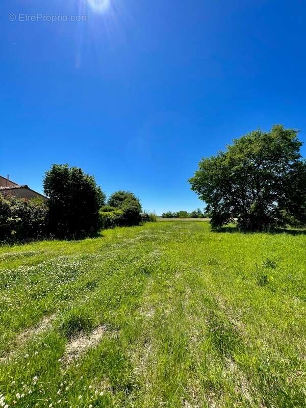 Terrain plat viabilisé 914 m² – Accès rapide Toulouse/Montauban-Bressols (82370) - photo 3