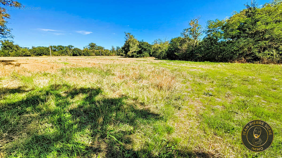 Magnifique terrain de 18 331 m2  dont  2 860 m2 constructibles - photo 3