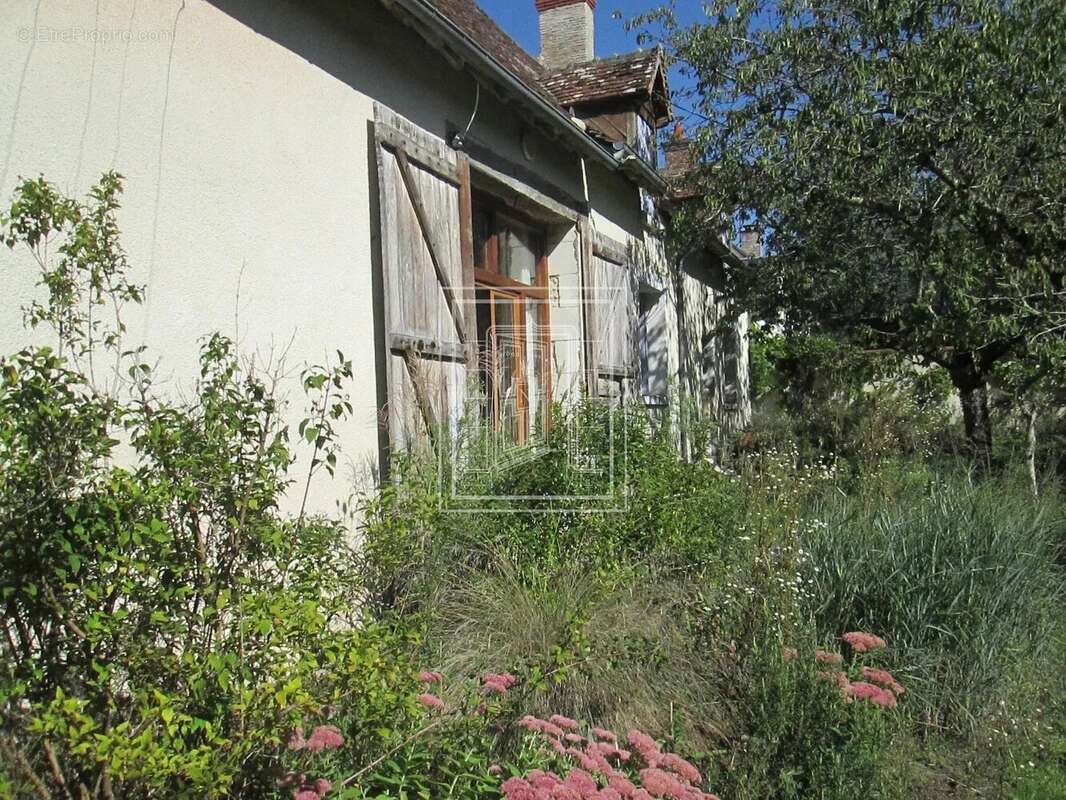 Maison à SELLES-SUR-CHER