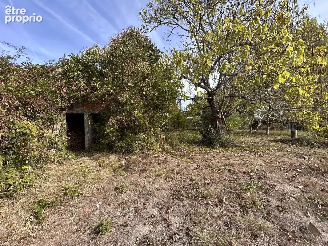 SAINT REMY : Maison de plain-pied de 150 m² à restaurer sur 5 051 m² de terrain - photo 15