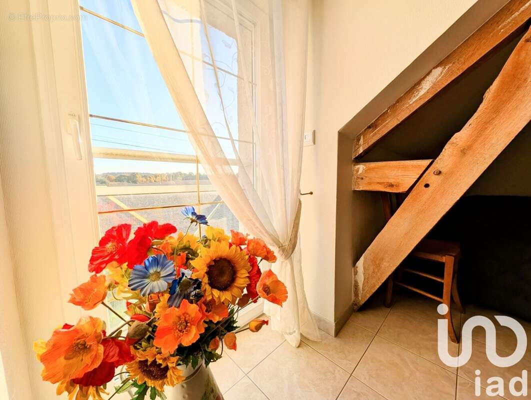 Photo 8 - Maison à JANZE