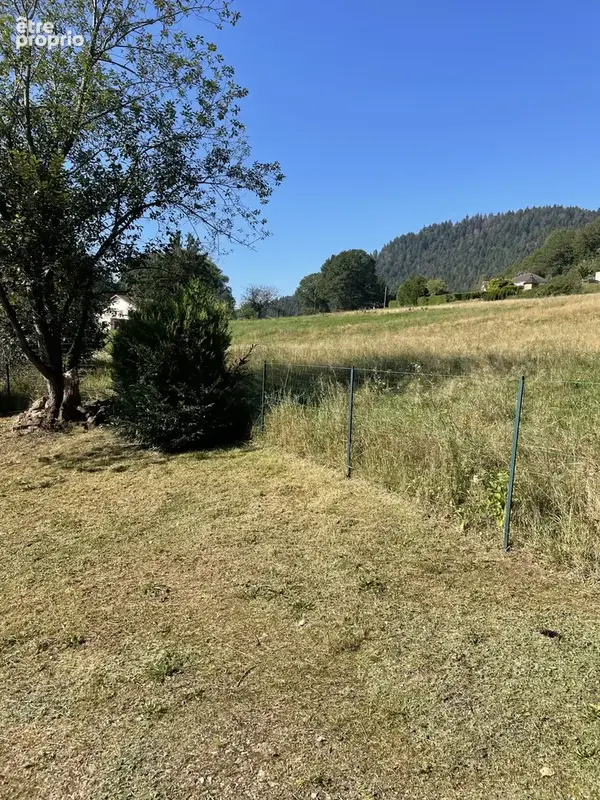 Saint-Dié-des-Vosges - Ferme de caractère 220m2 - photo 17