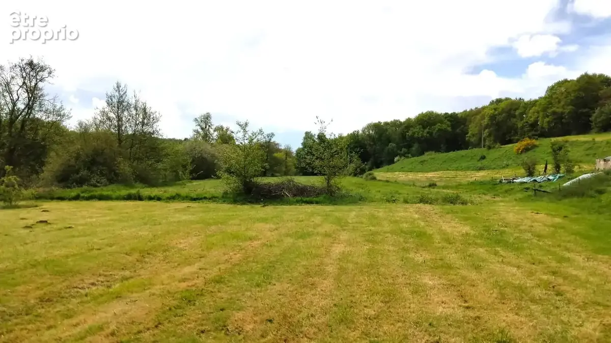TERRAIN