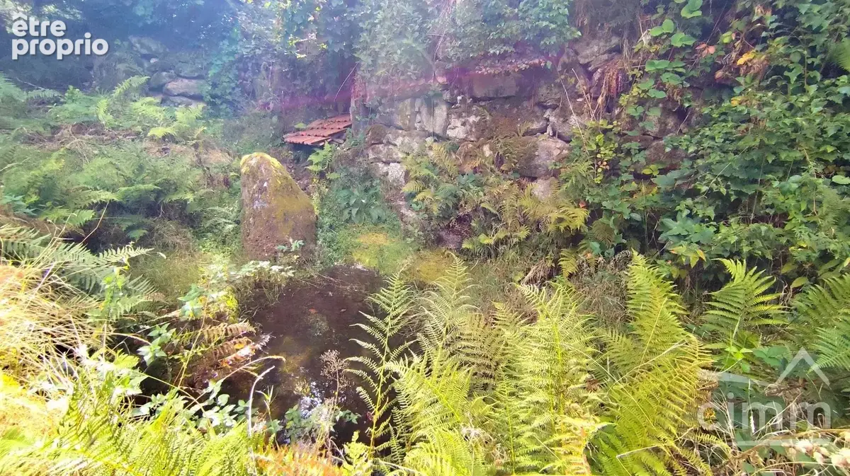 Maison au milieu des bois - photo 10