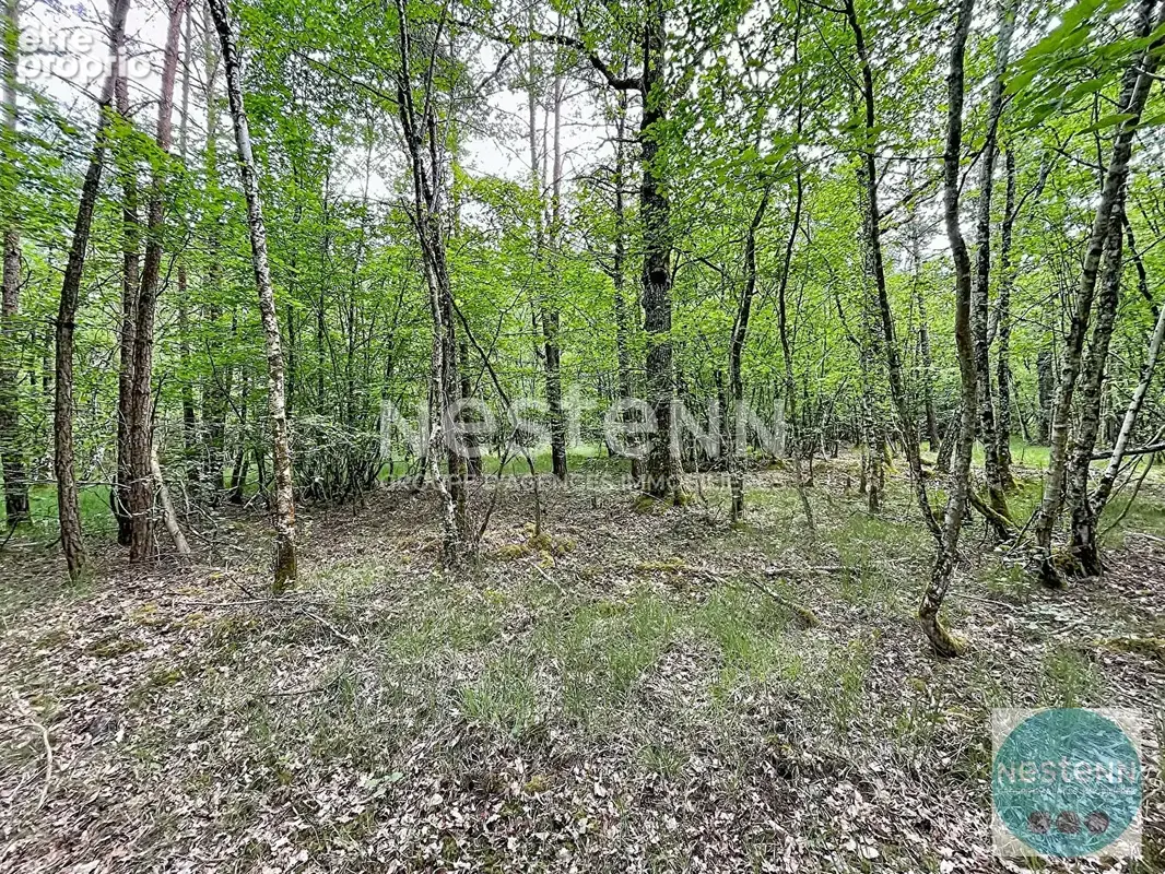 Photo Terrain à Fontaines-En-Sologne au prix de 126 800€