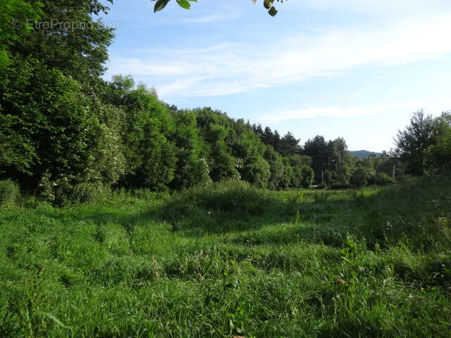 Terrain à SAINT-GENES-CHAMPANELLE