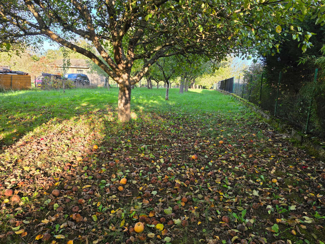 Terrain à MONT-SUR-MEURTHE