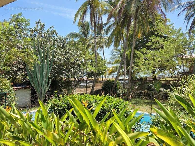 Maison à REMIRE-MONTJOLY