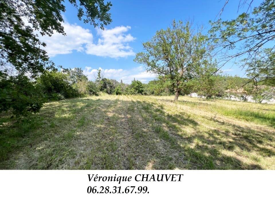 Terrain à ROQUEBRUNE-SUR-ARGENS