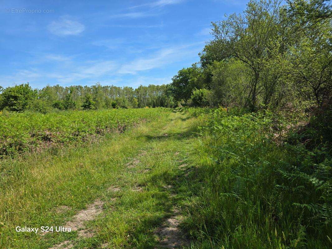 Terrain à MONTEREAU