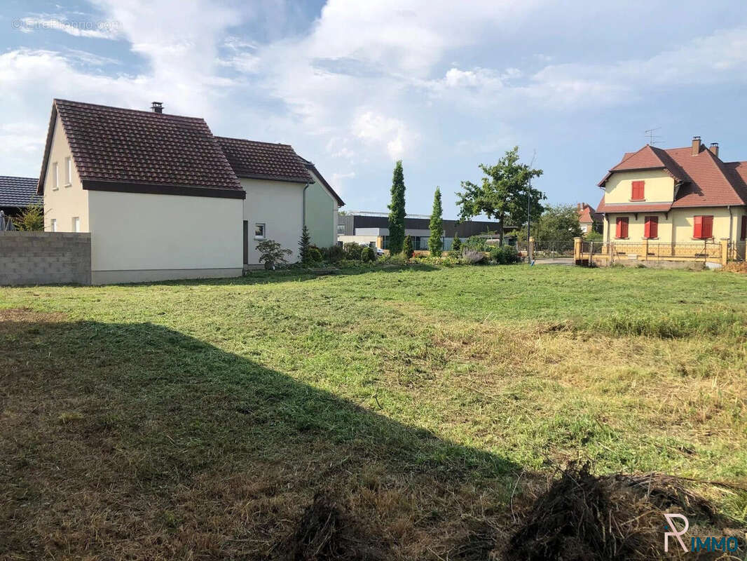 Terrain à BANTZENHEIM