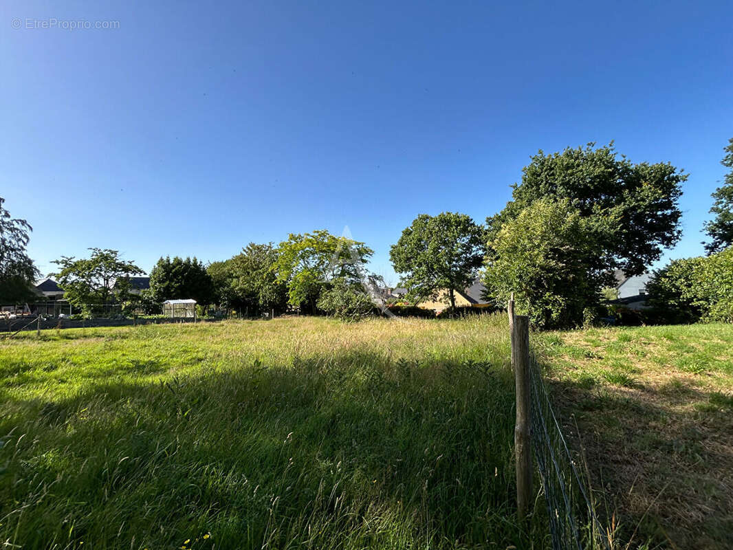 Terrain Constructible  non viabilisé avec étang Prée D'Anjou 6772 m² - photo 7