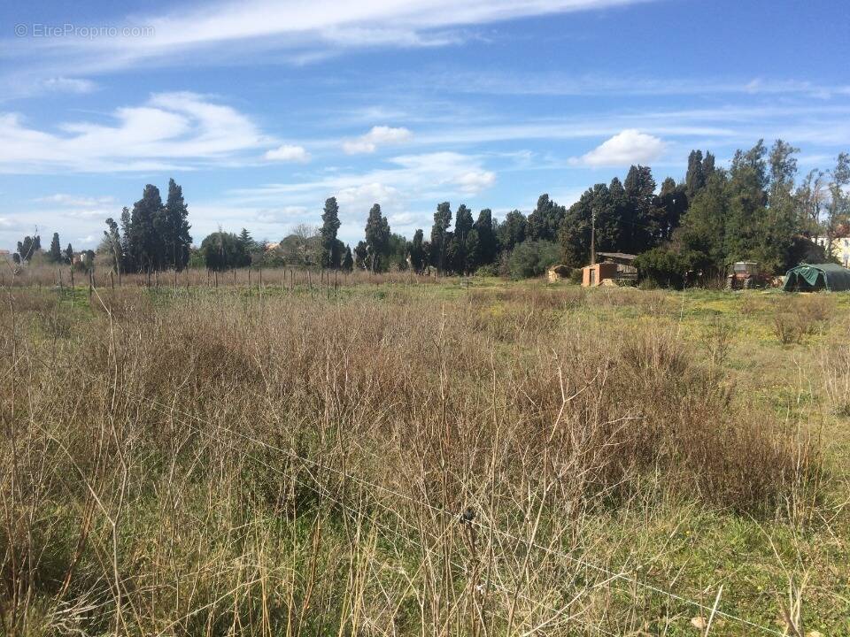 Terrain à ORNAISONS