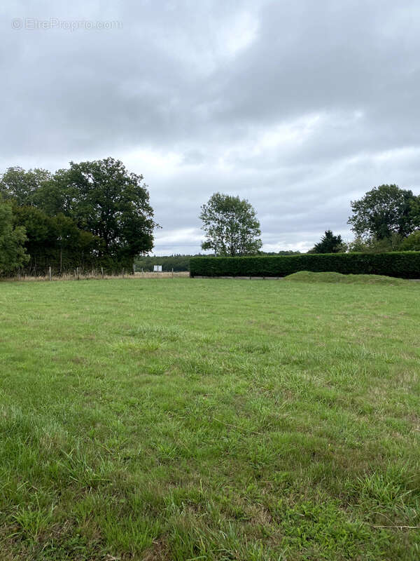 Terrain à BOISSY-LES-PERCHE
