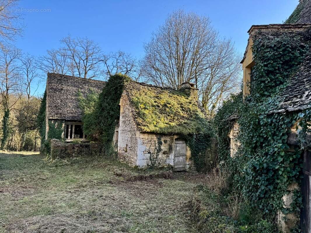 IMG_1215.jpeg - Maison à BEYNAC-ET-CAZENAC