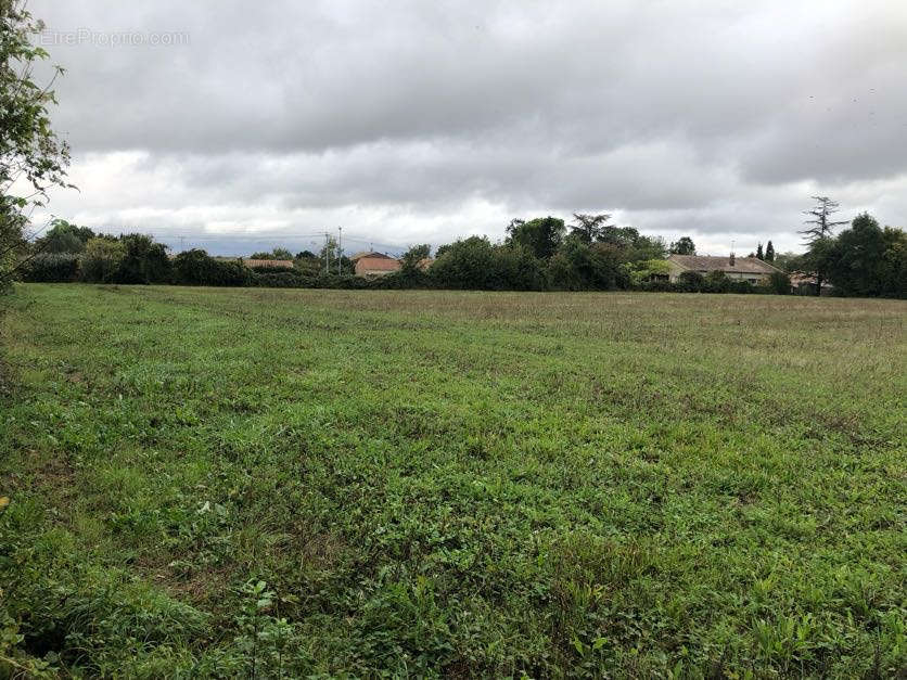 Terrain à LA FOYE-MONJAULT