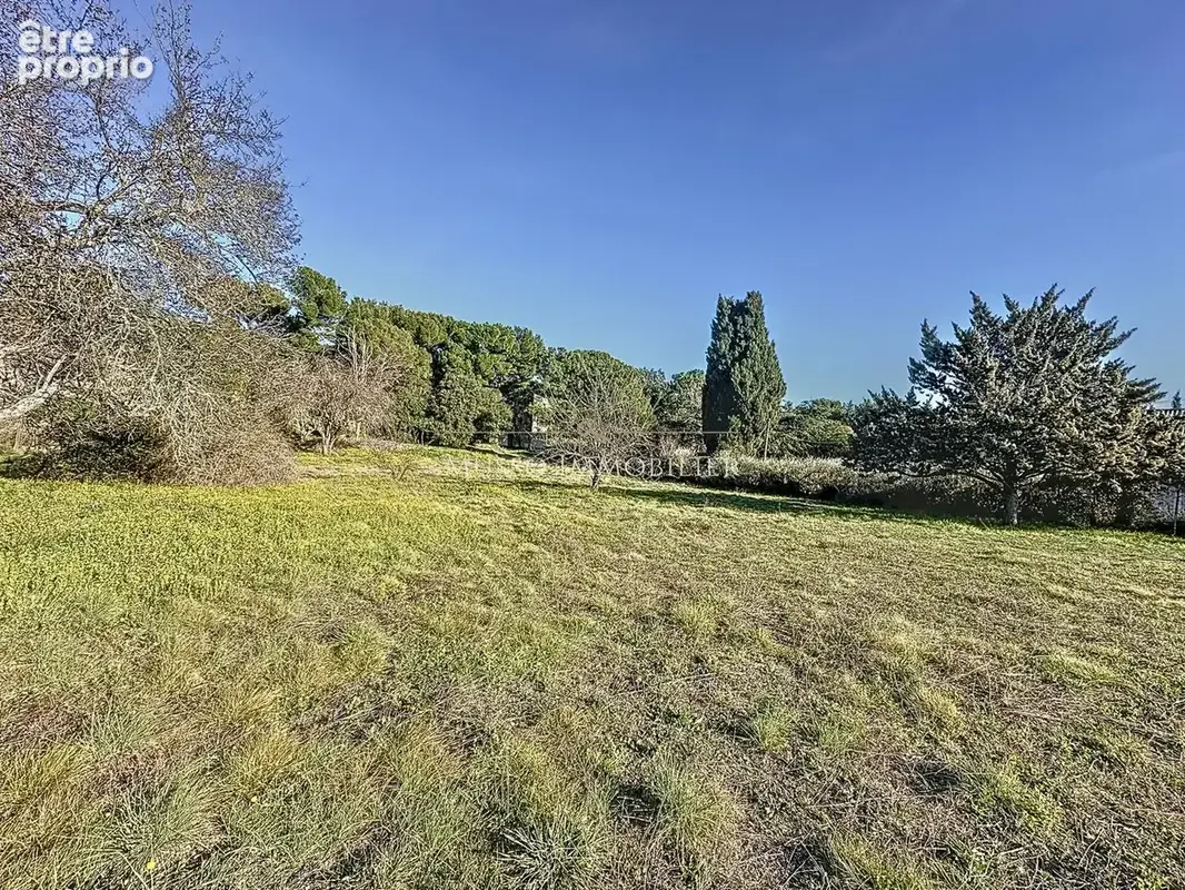 Terrain 1 000 m² à vendre à Allauch (13190) - photo 4