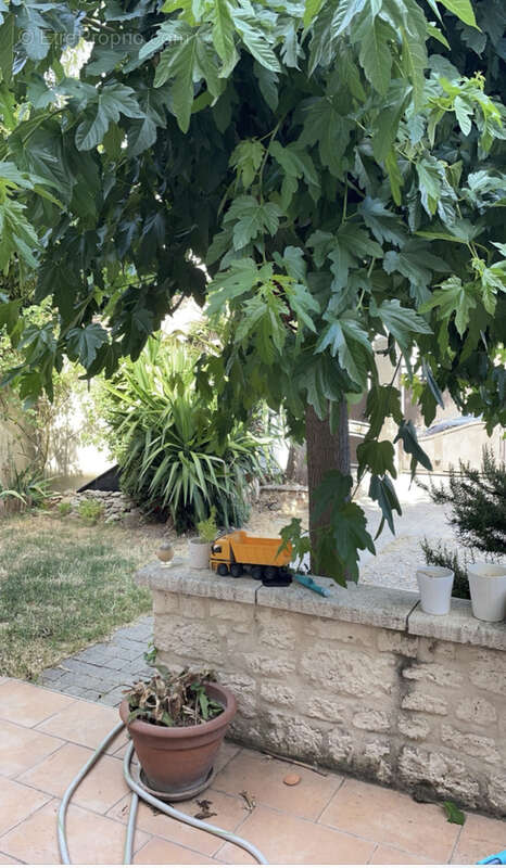 Maison à AVIGNON
