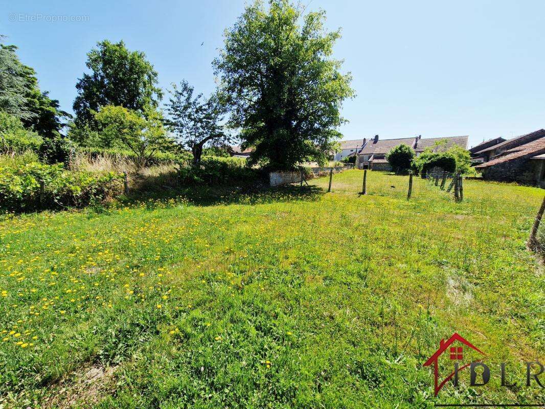 Maison à TERRE-NATALE