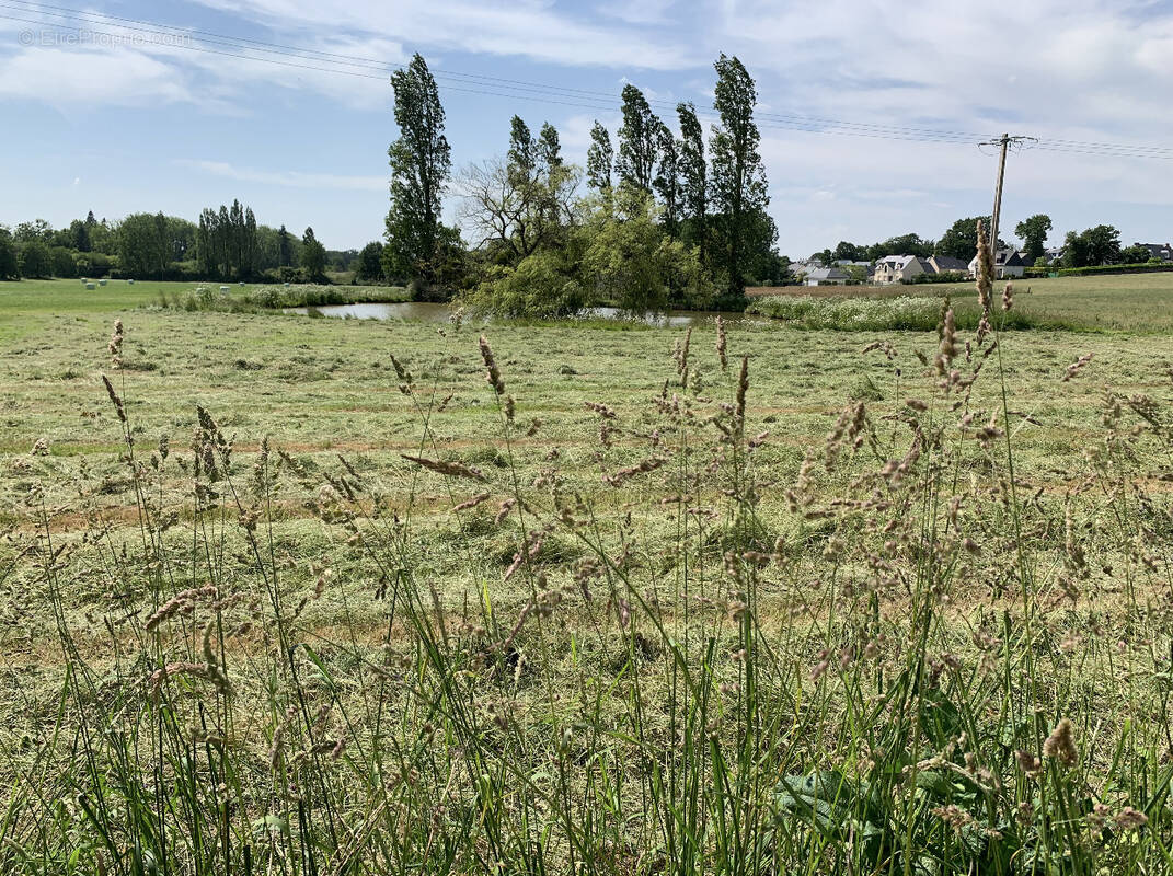 Terrain à GUIGNEN