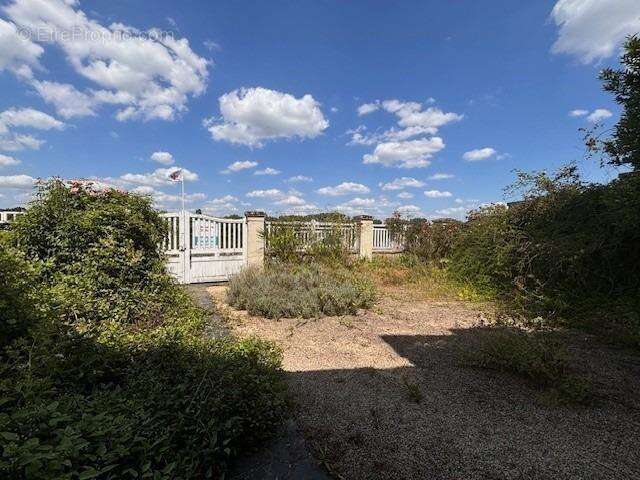 Maison à MONTSOREAU