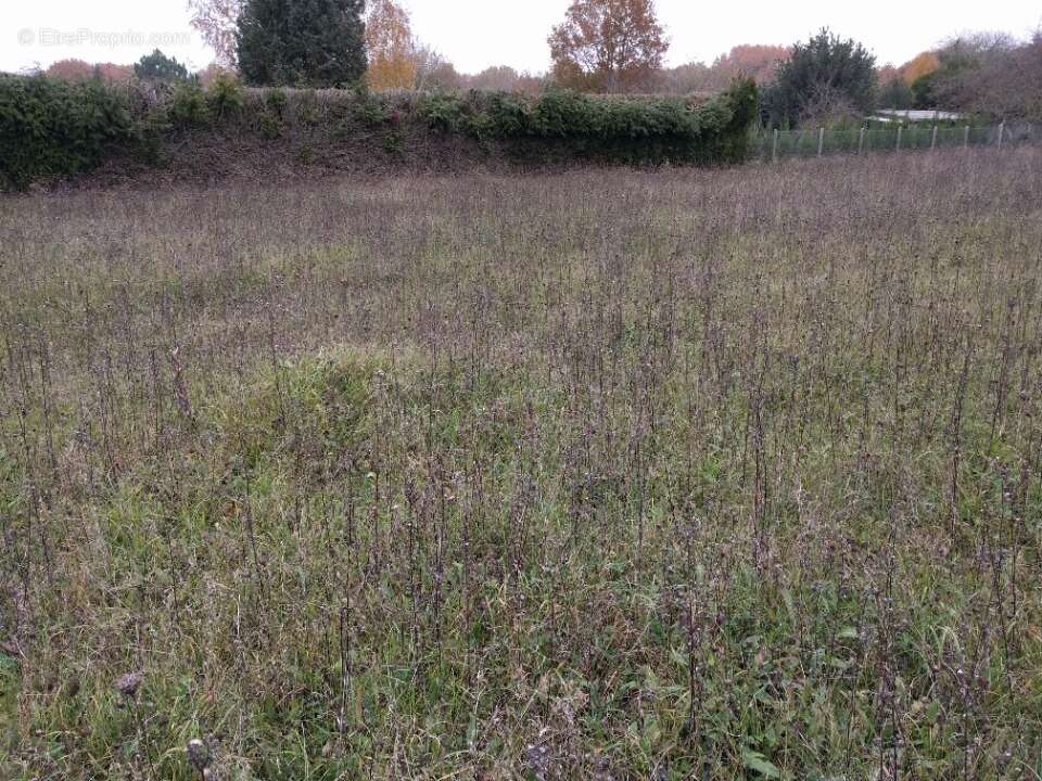 Terrain à CHATEAU-LANDON