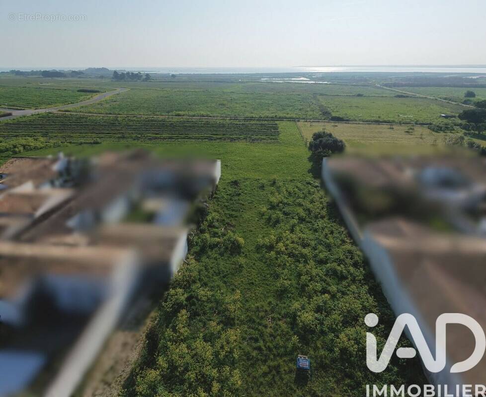 Photo 1 - Terrain à LOIX