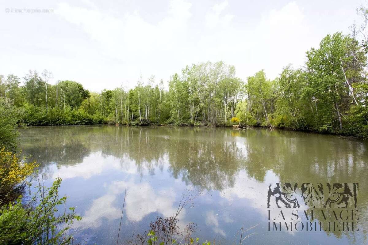 Maison à GRETZ-ARMAINVILLIERS