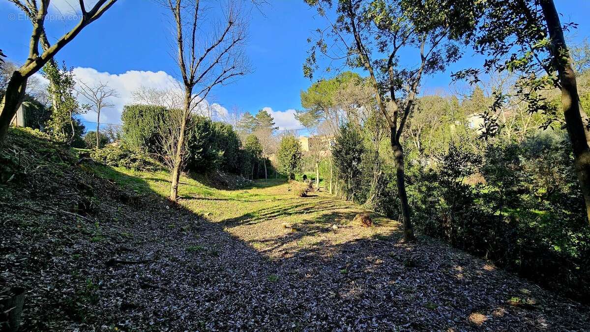 Terrain à MONTPEZAT