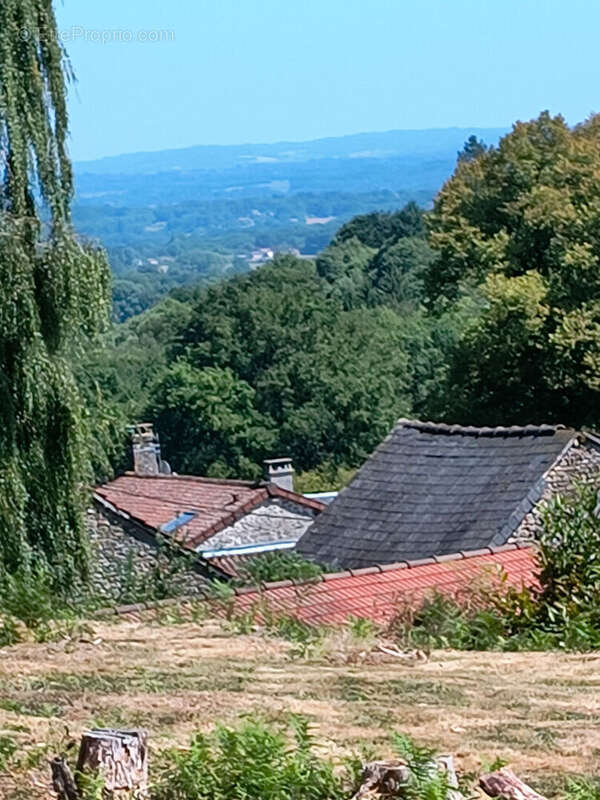 HAUTE-VIENNE-Superbe maison de campagne près d'Ambazac, avec jardins et bois - photo 18