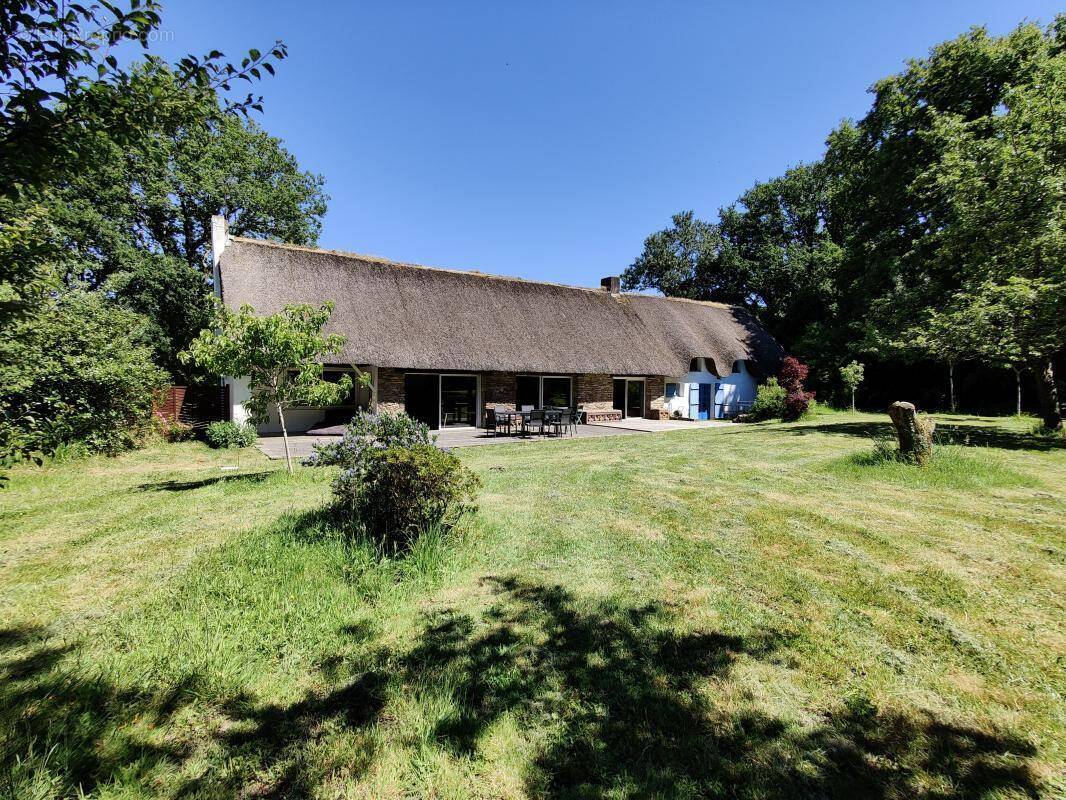 Photo 1 - Appartement à SAINT-LYPHARD