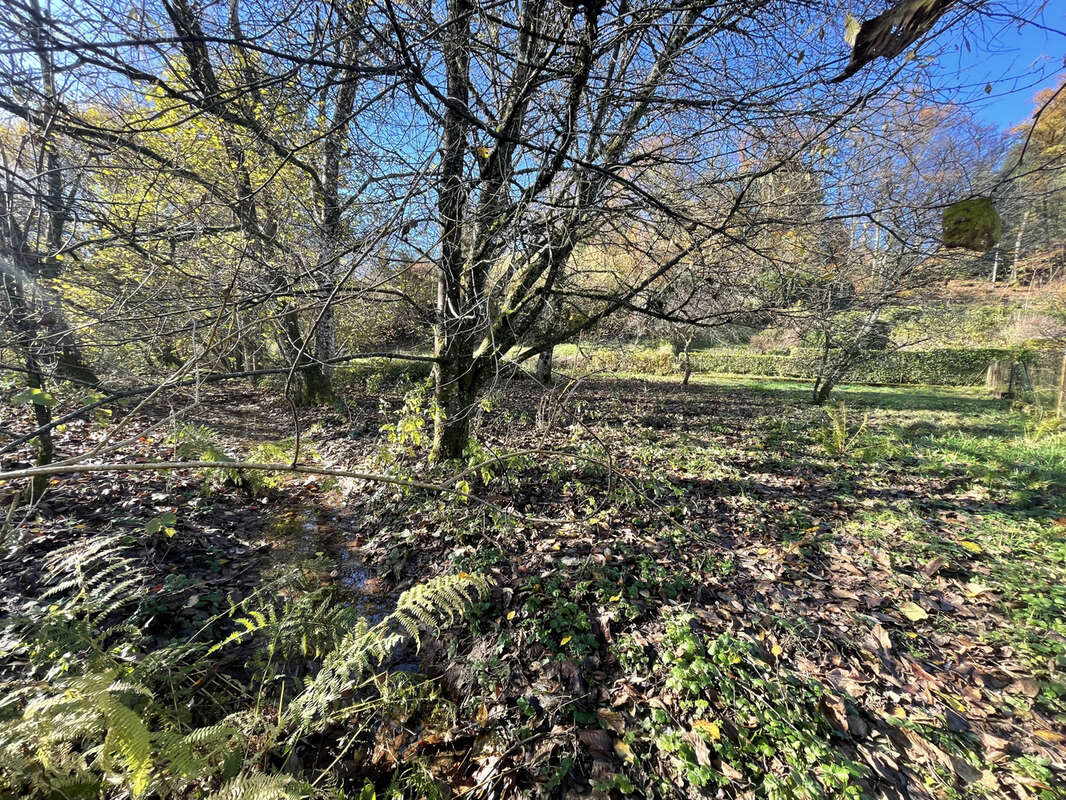 Terrain à PLANCHER-BAS