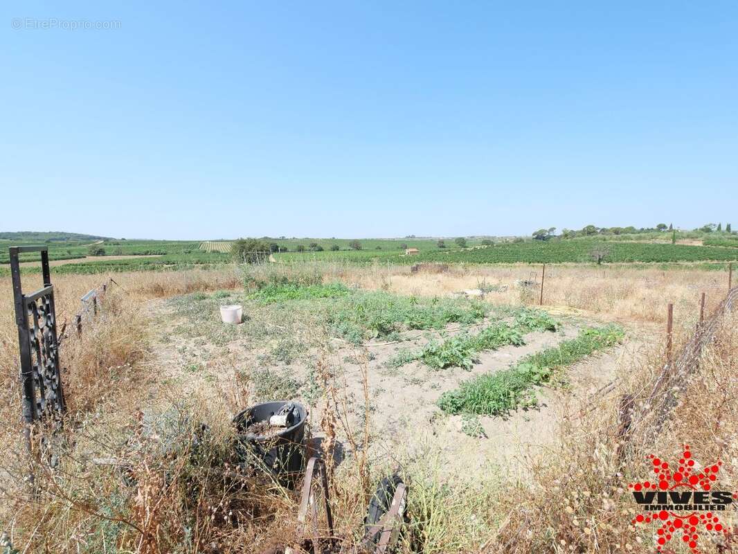 Exceptionnel : Truffière en production sur 2,2 hectares aux portes de Béziers - photo 17