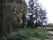 Terrain à SAINT-DIDIER-SUR-CHALARONNE
