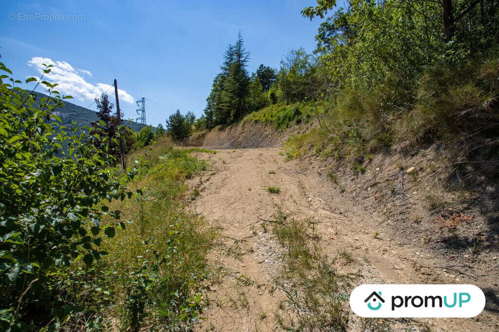 Terrain à BRIANCONNET