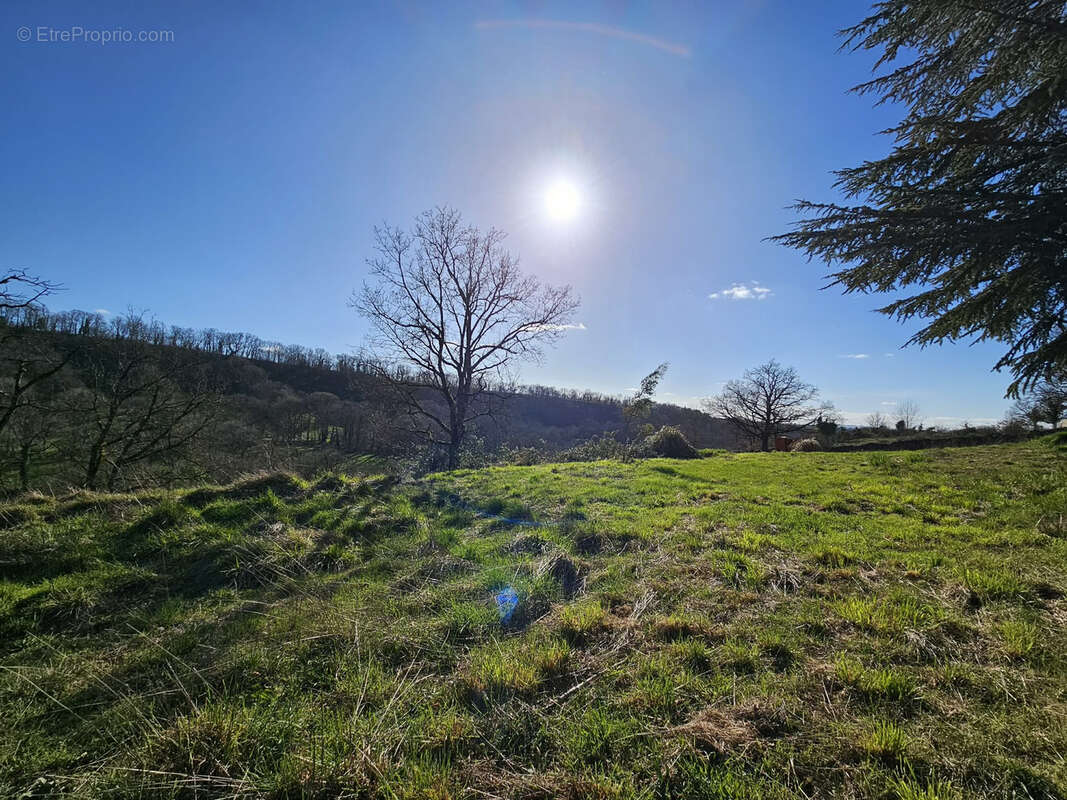 Terrain constructible de 3000 m2 avec très belle vue dégagée plein SUD secteur prisé d'Onet l'Eglise - photo 2