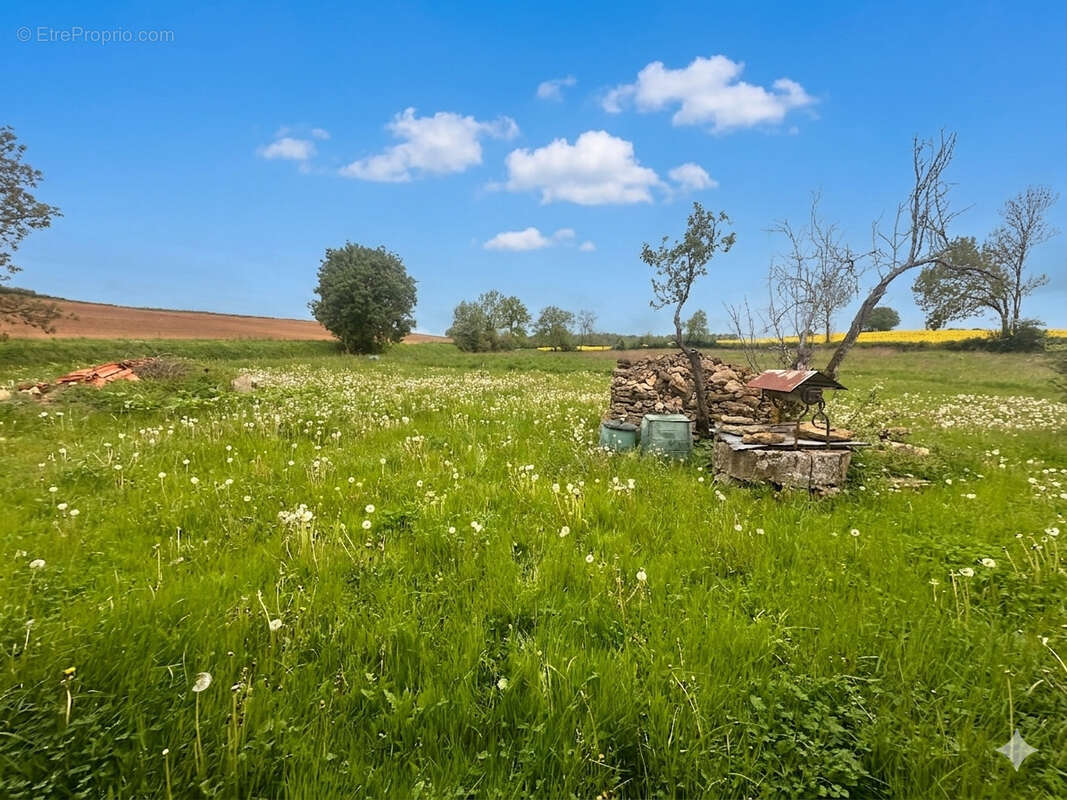 Photo 5 - Maison à SAINT-HILAIRE-DES-LOGES