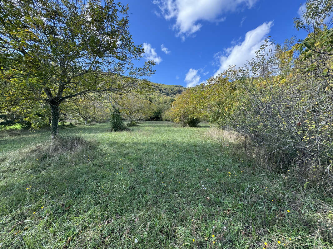 Terrain à SAINT-AFFRIQUE
