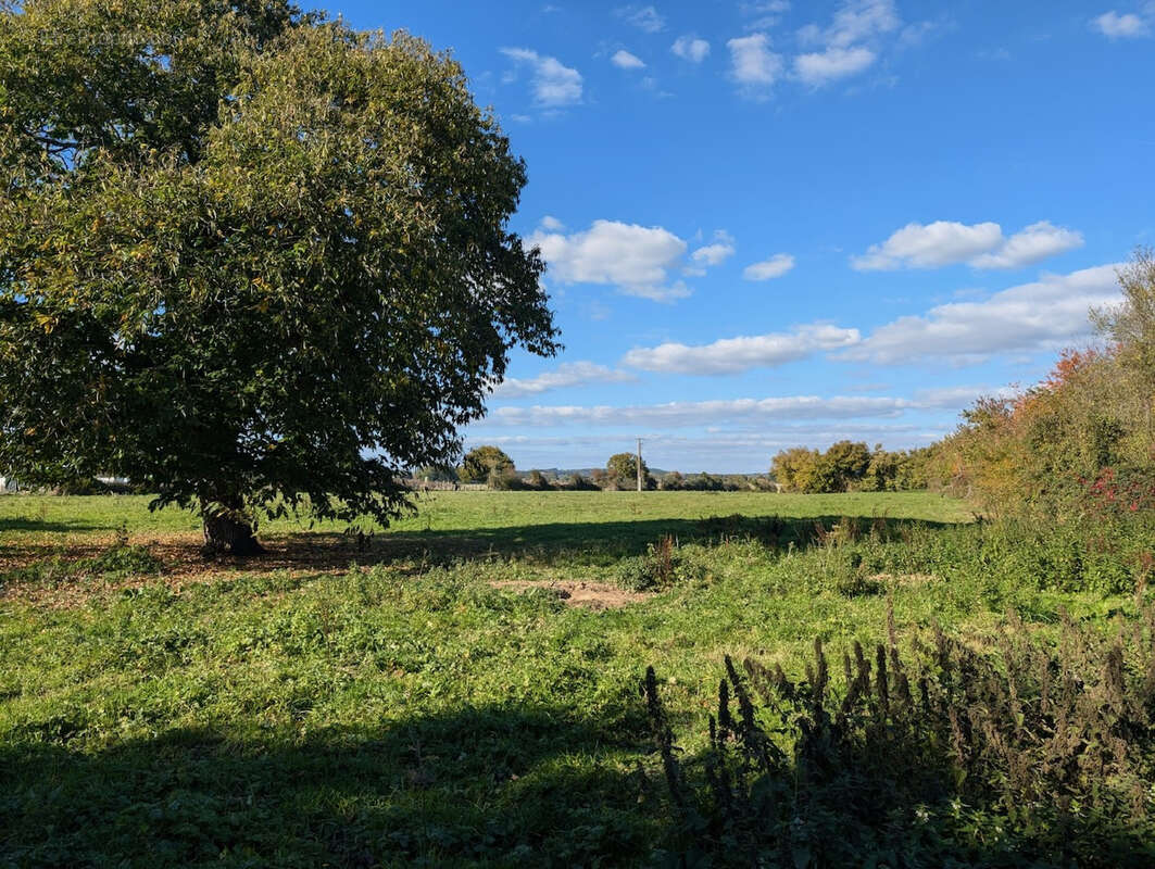 Maison à SAINT-MARD-DE-RENO