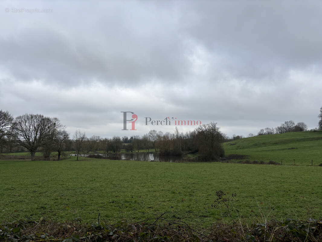 Terrain à ESSAY