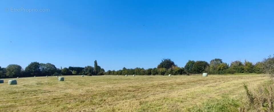 Terrain à SAINT-DESIR