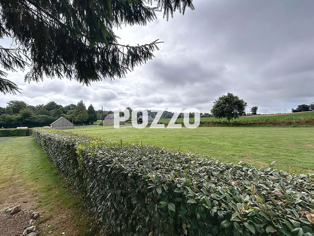CHAMP DU BOULT - spacieuse maison au calme sur terrain de 7258 m² - photo 16