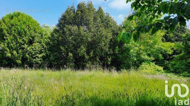 Photo 1 - Terrain à SAINT-QUAY-PORTRIEUX