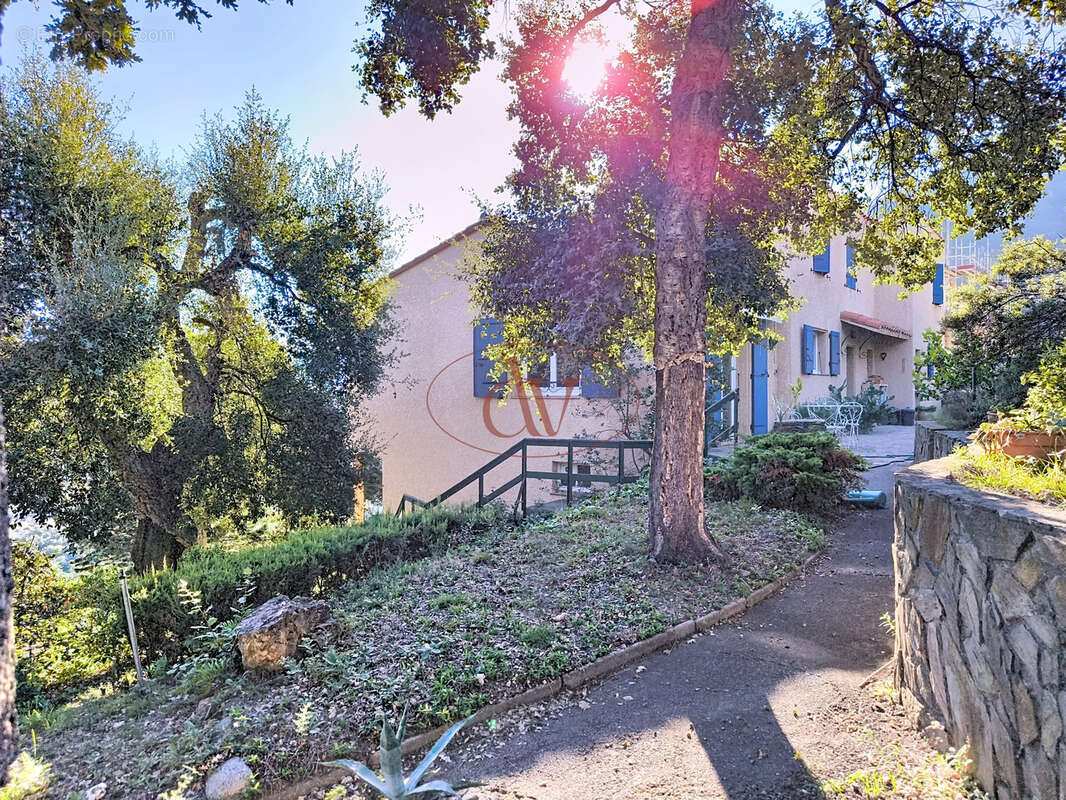 Maison à LAROQUE-DES-ALBERES